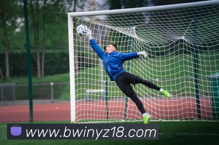 bwin必赢亚洲官网平台平台生态图